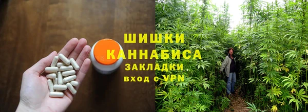 PSILOCYBIN Елизово