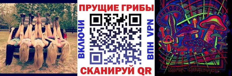 Купить закладки  Кашира  Галлюциногенные грибы MAGIC MUSHROOMS 